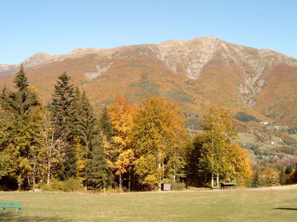 Albergo Tirolo Абетоне Экстерьер фото